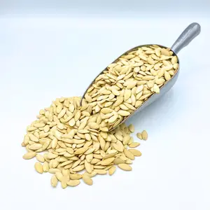 Roasted and Salted Squash Seeds