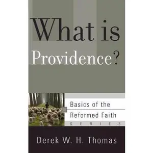 USED-What Is Providence? by H, Derek W. (Paperback)