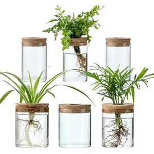 Propagation Stations for , 2 Size Glass Propagation Vases for Propagating Hydroponic Indoor  Office Decor, Tabletop Glass Planter  for  Lovers (6)