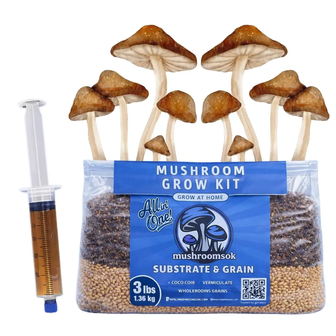 Mushroom Grow at Home Mindset Kit!