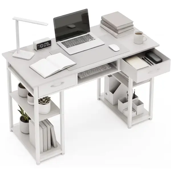 edx 48 Inch Office Desk with 2 Drawers, Spacious Writing Desk with Storage Shelves, Modern Computer Table for Home Office,Study and Work