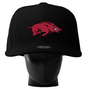 Arkansas Razorbacks Noggin' - Classic & Novelty Accessory
