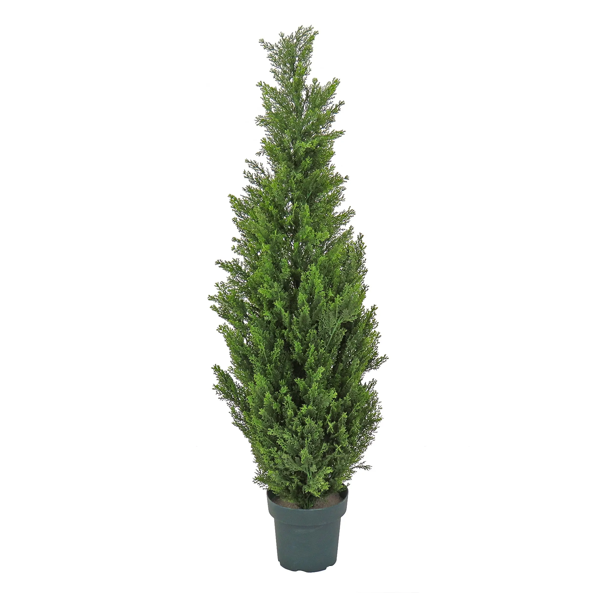 50 in. Cedar Topiary Tree in Dark Green Round Growers Pot - TikTok Shop