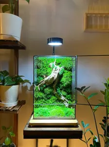 Terrariumazing Driftwood L with Preserved Moss and Glass Casing Decor Decoration