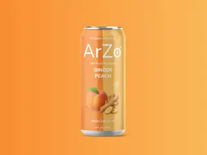 8 Pack Ginger Peach Vitamin Infused Sparkling Water by ArZo water, Zero Sugar, Low Calorie Drink with Vitamin C, D, B6 & L-Theanine, 12oz Cans