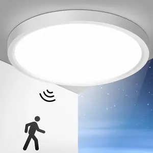 LED Motion Sensor Ceiling Light, Staircase Hallway Lamp, Infrared Radar Smart Sound Control, 24w Light, Energy Efficient, Interior Lights, Hallway Light Fixtures, Model Pl230 Pl049