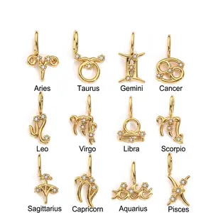 Stainless Steel Zodiac Sign Charm, Fashion Accessory for Costume Jewelry, Charms & Pendants accessories girly Capricorn Cancer Sagittarius Taurus Leo Pisces Libra Aries Aquarius Gemini