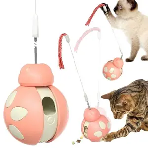 Kids Toy Gift Set Car Pendant Modeling Tools Blind Box Plush Series New Hot-selling Cat Supplies Tumbler Balance Car Ladybug Beetle Cat Toys