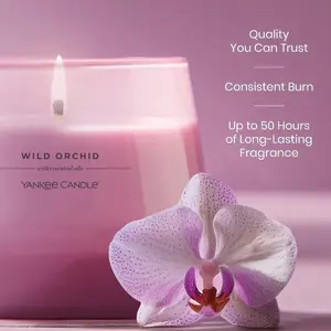 Aesthetic Sweet & Fresh Candle Set (3 Pack)”