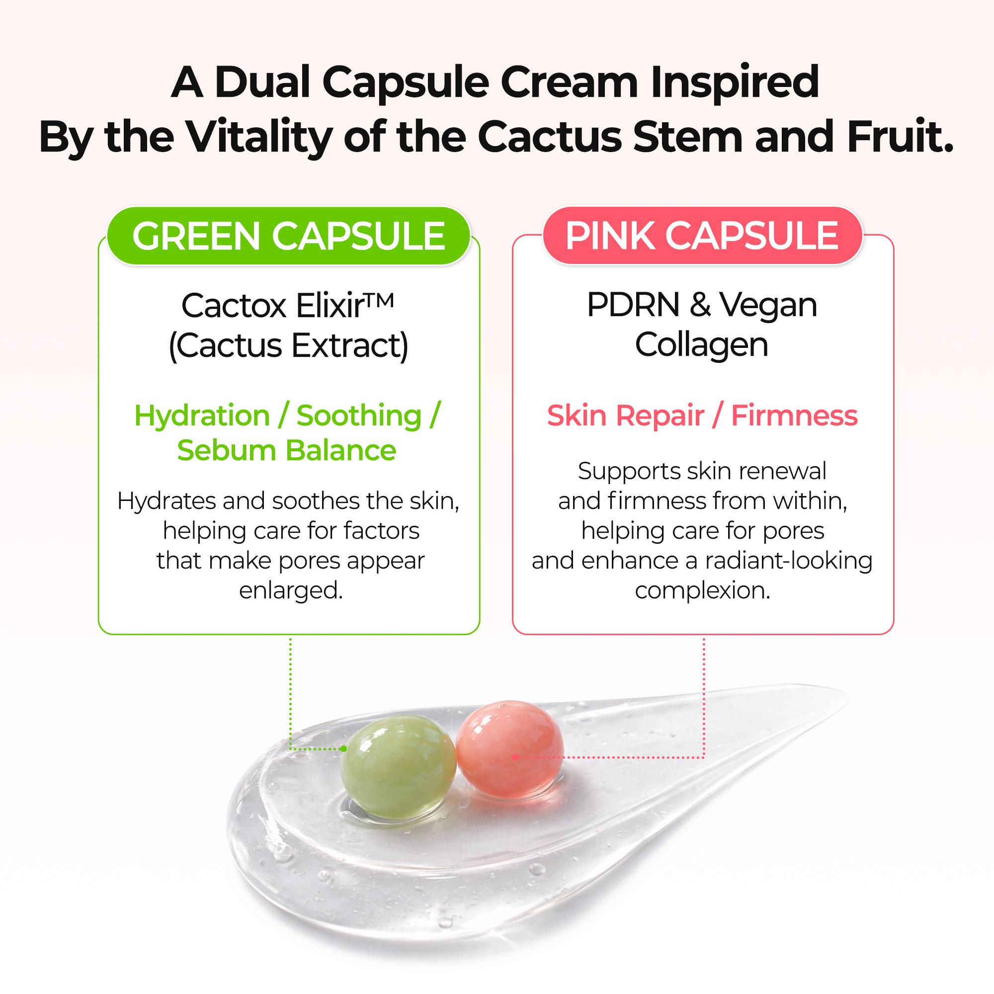 [Dr.Melaxin Official] Cactox 9-Layer Hydro Bomb Balm Set with Ice Chill Hydration & Deep Moisture for Glass Skin Repair
