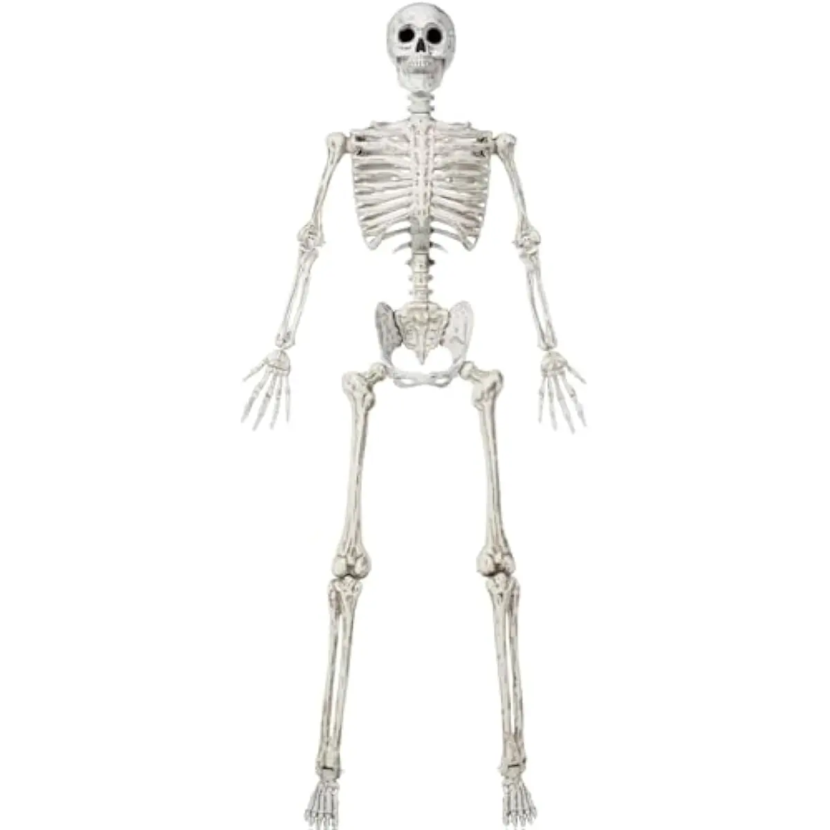 6.9 FT Halloween Posable Life Size Skeleton, Full Body Realistic Skeleton Bones with Movable Joints for Halloween Indoor Outdoor Party Decoration, Spooky Scene Props, Haunted House Decor (White)