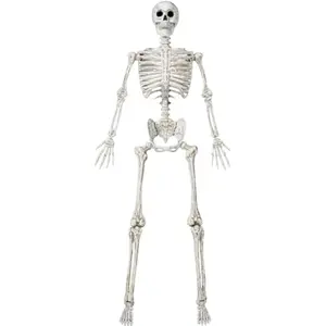6.9 FT Halloween Posable Life Size Skeleton, Full Body Realistic Skeleton Bones with Movable Joints for Halloween Indoor Outdoor Party Decoration, Spooky Scene Props, Haunted House Decor (White)