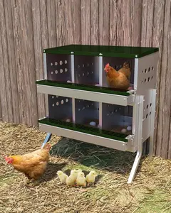 Gaomon Green 6-Compartment Chicken Nesting Box with Legs, Roll-Out Laying Box for Hens Featuring Roll-Away Convenience