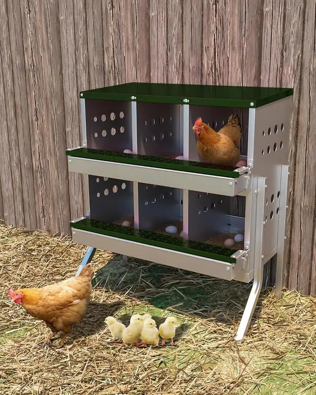 Gaomon Green 6-Compartment Chicken Nesting Box with Legs, Roll-Out Laying Box for Hens with Roll-Away Convenience