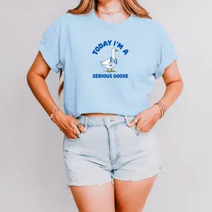 Today I'm a Serious Goose Tee, Funny Graphic T-Shirt, Gift for Goose Lovers, Medical Gift, Nurse, Unisex Heavy Cotton Shirt, Healthcare Worker, Cute Animal Apparel