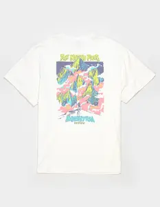 THE NORTH FACE Essential Expedition Mens Tee