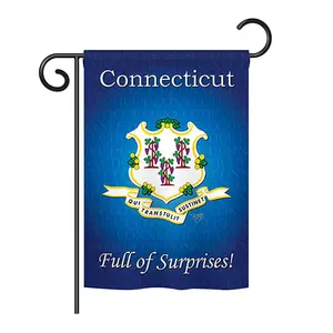 Breeze Decor BD-SS-GS-108138-IP-BO-D-US13-BD 13 x 18.5 in. Connecticut Americana States Impressions Decorative Vertical Double Sided Garden Flag Set with Banner Pole