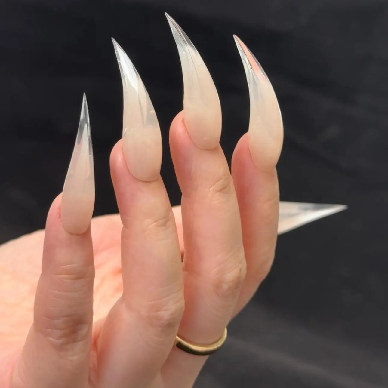 NailHex Lab Gothic Alt Press On Nails - 10Pcs Handcrafted Long Sharp Claw Reusable Fake Nails, Dragon Eagle Cat Design Art, Party Gift for Cosplay Enthusiasts
