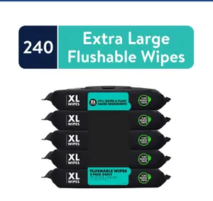 Flushable Wipes, XL Wet Wipes for at Home Use, Mint Chill, 48 Count, 5 Pack