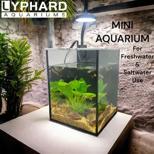 LYPHARD AQUARIUMS 1.19 Gallon Mini Aquarium Kit for Small Aquatic Pets - Ideal Desktop Fish Tank for Home and Office.