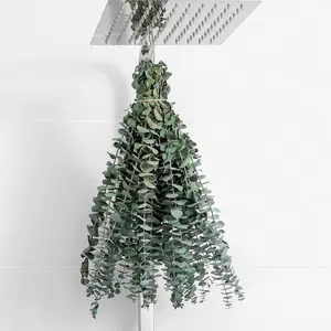 10 Pcs Dried Eucalyptus Stems 17" Real Eucalyptus for Shower Hanging 100% Made from Fresh Leaves, Wedding, Home, Farmhouse, DIY Spring Decor
