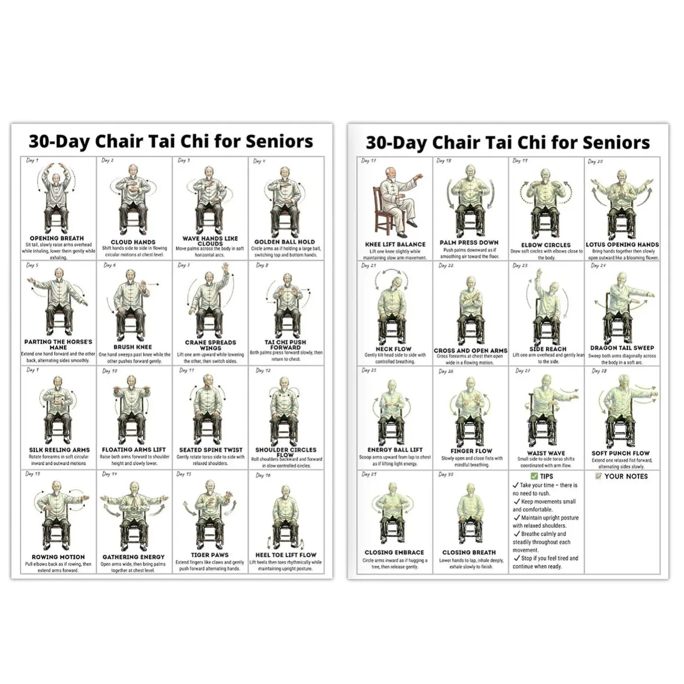 Tai Chi Chair Workout Chart for Seniors, Printable Wall Exercise Chart, 30-Day Seated Tai Chi Routine, Easy Step-by-Step Fitness Guide for Home & Rehab