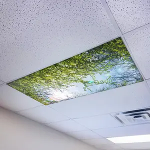 Magnetic Light Cover - Tree 006