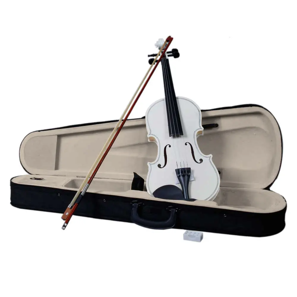 4/4 Acoustic Violin Set for Beginners - White Case, Violin Bow, Rosin