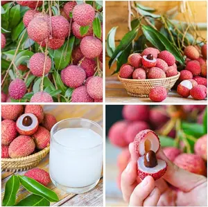15+Lychee Tropical Fruit Seeds for Planting Outdoor- Non-GMO Heirloom Litchi Seed for Exotic Home Gardening-Perennial Psidium Guajava Exotic Fruit for Plant Indoor Bonsai Tree