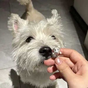 Snowshoe Puppy Animal Ring, Open Adjustable Pet Dog Jewelry, Cute Style Accessory, Perfect Birthday Gift for Couples & Pets