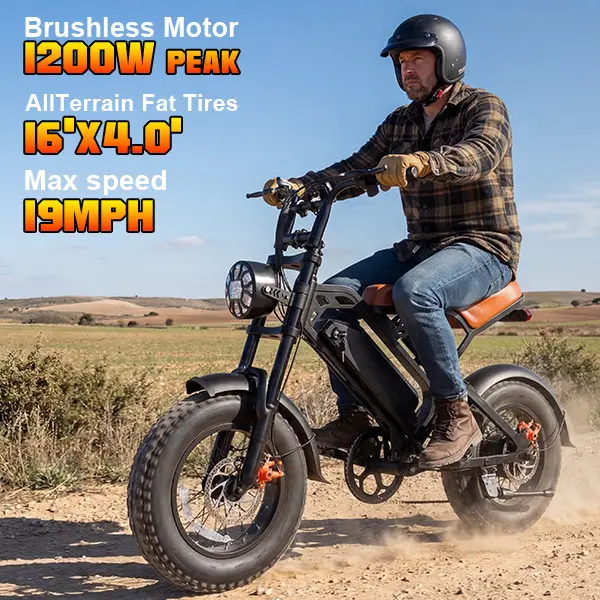 GT600-Youth 1200W Off-Road Electric Bike,with 48V 18Ah Removable Battery, 19MPH , 16" X 4" Tire, Mountain E-bike for All-terrain summervibes Fat Tire Ebike Dual Motor Ebike