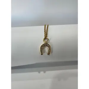 Stainless Steel Necklace with Horseshoe