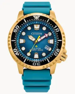 Promaster Dive