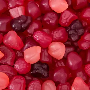 Berry Jelly Candy Mix 1 Pound Bag | Vegan Gummies with Real Fruit Puree | Assorted Berry Flavors | Gelatin Free Plant Based Texture | No Artificial Colors and Flavors | Dye Free Candy