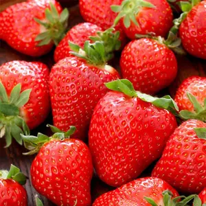 800 Pcs Mixed Fruit strawberry seed pot strawberry four seasons easy to sow balcony seedling