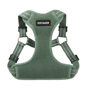Voyager Step-In Flex Dog Harness - Flexible Breathable Air Mesh No Pull Vest for Small Medium Large Dogs | Adjustable Comfort Fit | Lightweight Everyday Walking Harness by Best Pet Supplies