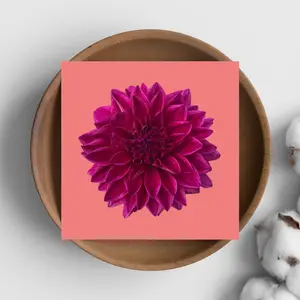 Love Notes - Bright Bouquet