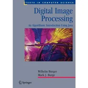 USED-Digital Image Processing: An Algorithmic Introduction Using Java (Texts in Computer Science) by Wilhelm Burger (Hardcover)