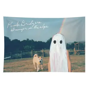 Phoebe Bridgers Music Album Cover Tapestry - Light Polyester-Linen-Cotton Blend, Decorative Hanging Wall Decor for Bedroom, College Dorm Decoration summerwins