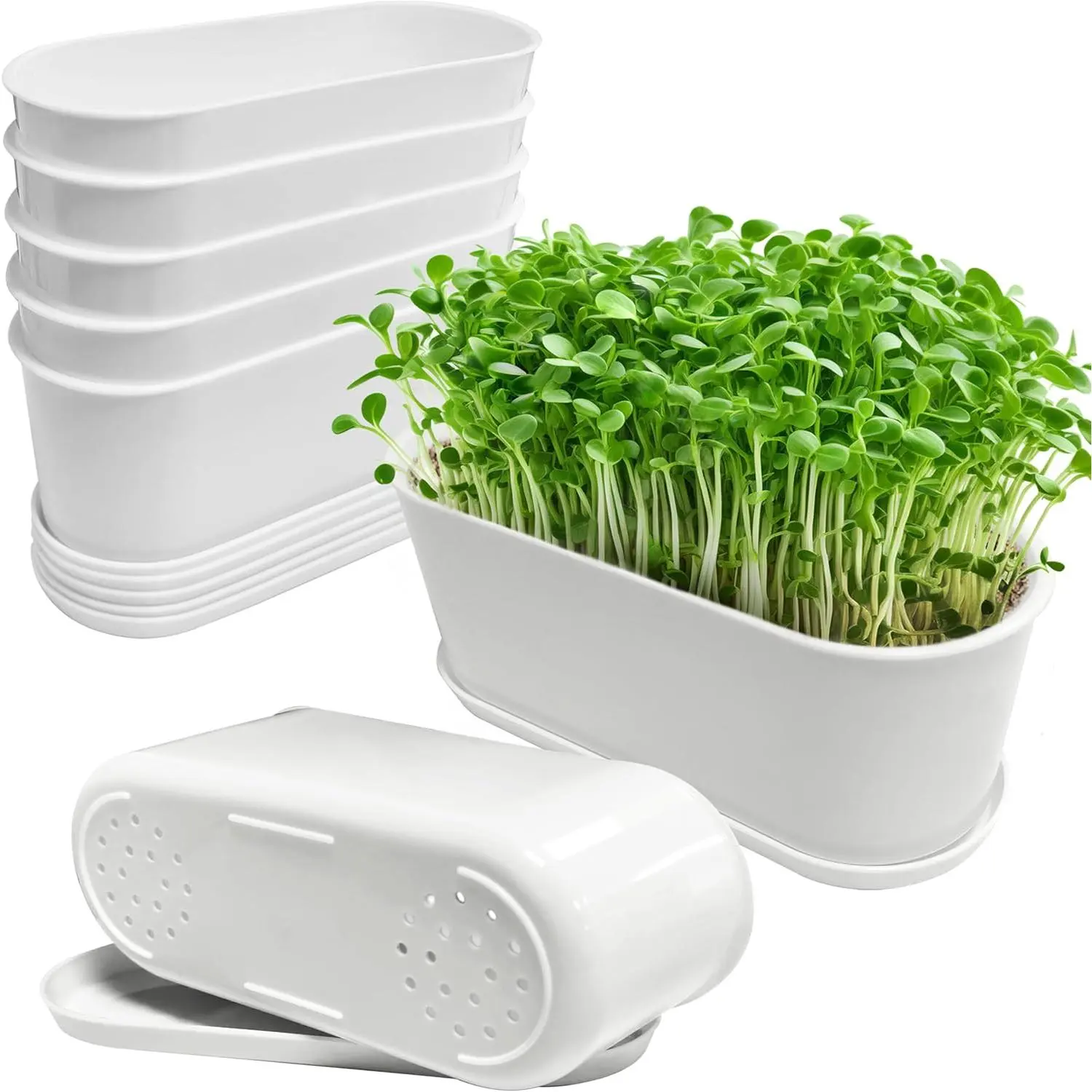 5-Set Heavy Duty White Plastic Rectangular Window Planter Boxes (8.5x3.5 inch) with Multiple Drainage Holes, Trays, 2 Mini Transplanting Tools, Indoor/Outdoor Succulent Cactus Mint Pots for Windowsill, Office, DIY Personalization