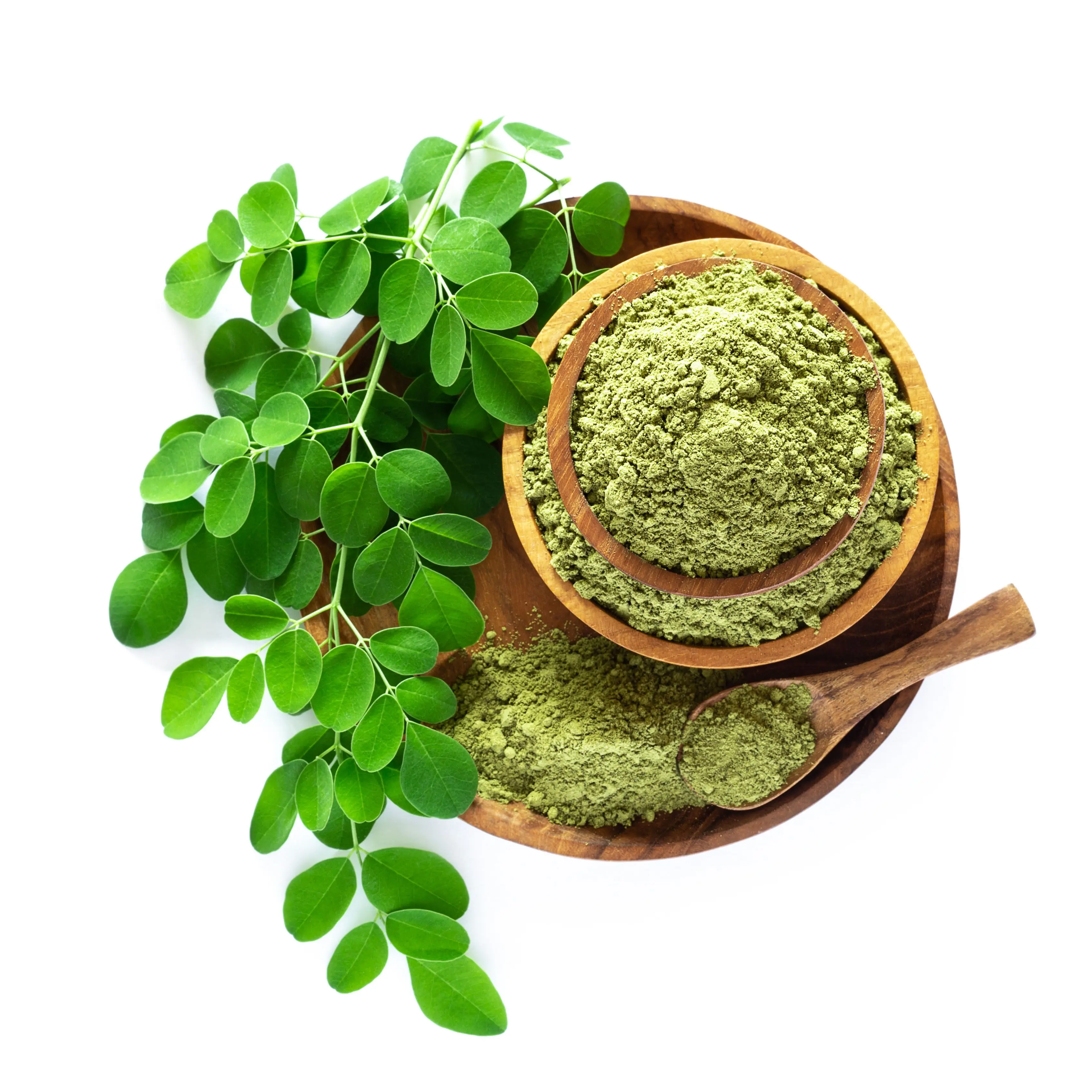 Moringa Power House Herbal Tincture - Liquid Natural Moringa Leaf Extract Dietary Supplement for Healthcare, Fitness, Rich in Vitamins, Minerals, Antioxidants & Anti-Inflammatory Compounds