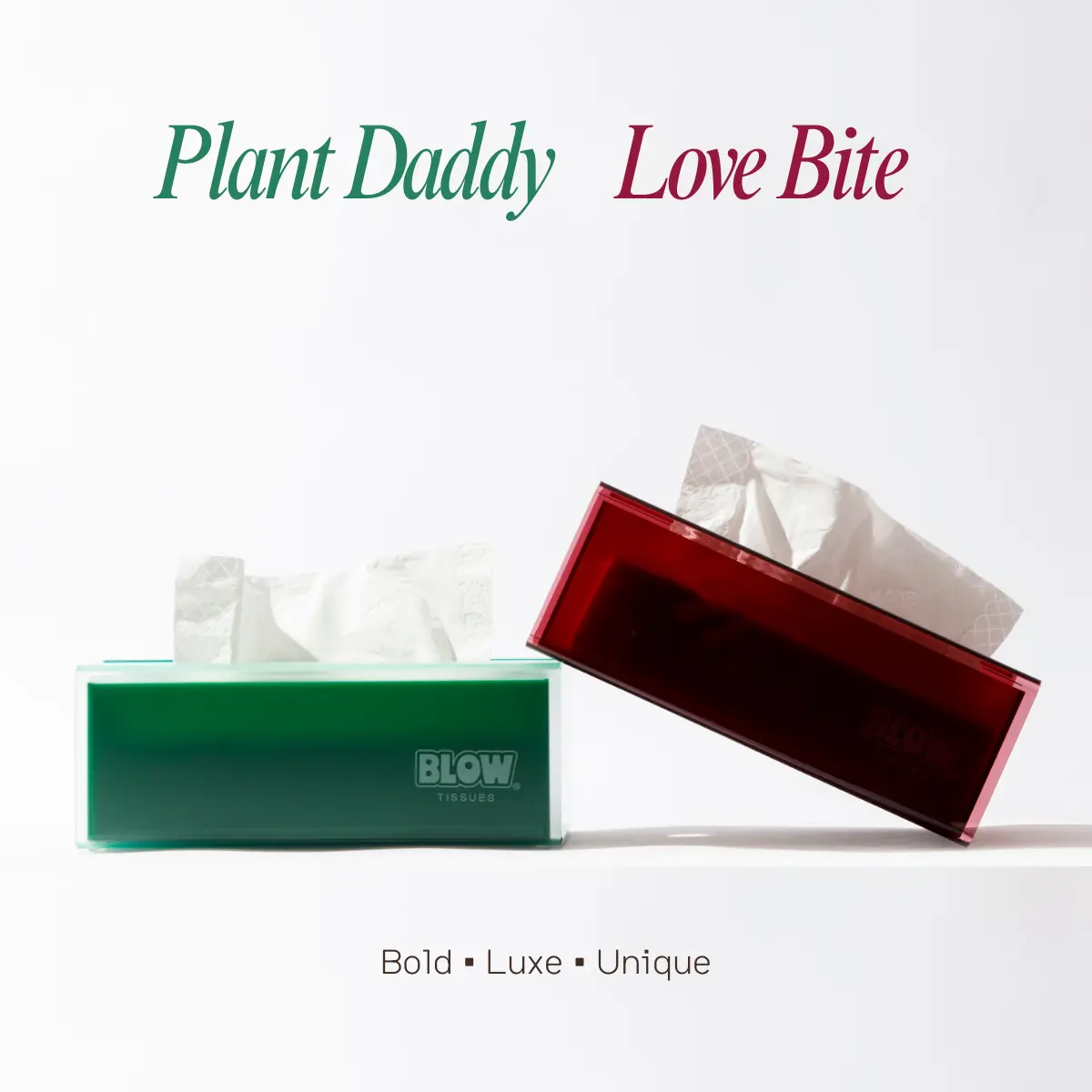 Love Bite + Plant Daddy