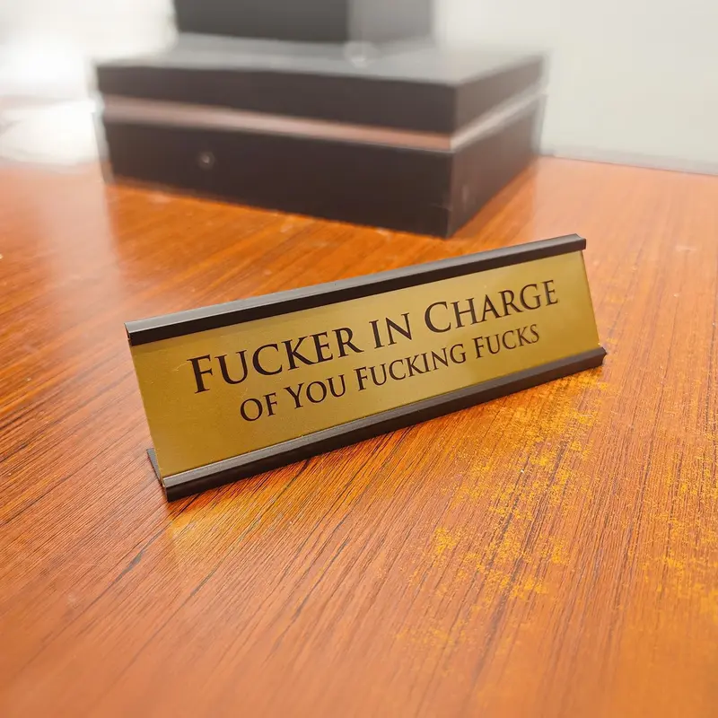 8x2 in Rectangular Metal Office Desk Plate Sign - Bold Capital Letters, Playful Unique Touch, Humorous Text, Manager Stationery Accessory, Decor, Office Ornament, Funny Coworker Gift