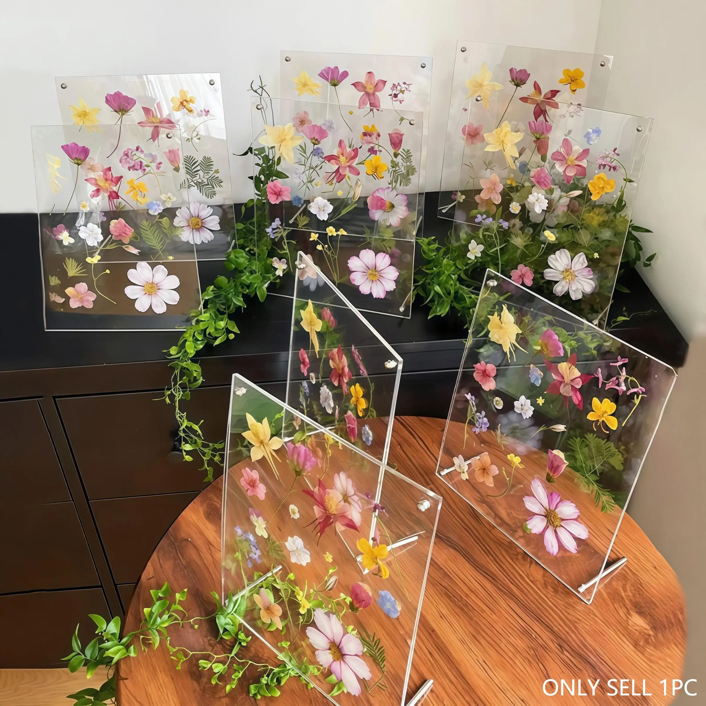 Multifunctional Transparent Acrylic Stand, Dried Flower Pressing Frame, Creative DIY Dried Flower Specimen Display Case, Suitable for Posters, Paper Books, Artwork, Decor, Acrylic Frames