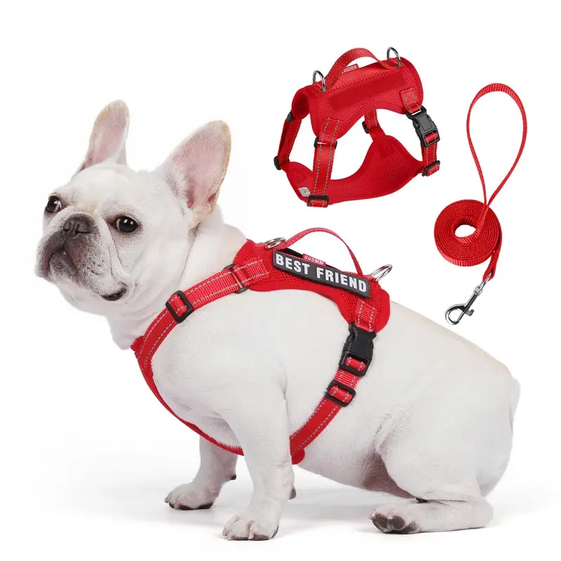 Dog Leash & Harness Set, Reflective Vest Harnesses for Small-Medium Dogs (Bichon Frise, French Bulldog) - Outdoor Walking Rope Gear, Harness Vest Harnesses
