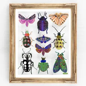 Moth and Beetle Line Up - Insect Wall Art Print — Colorful Modern Nature Art by Kate Segal