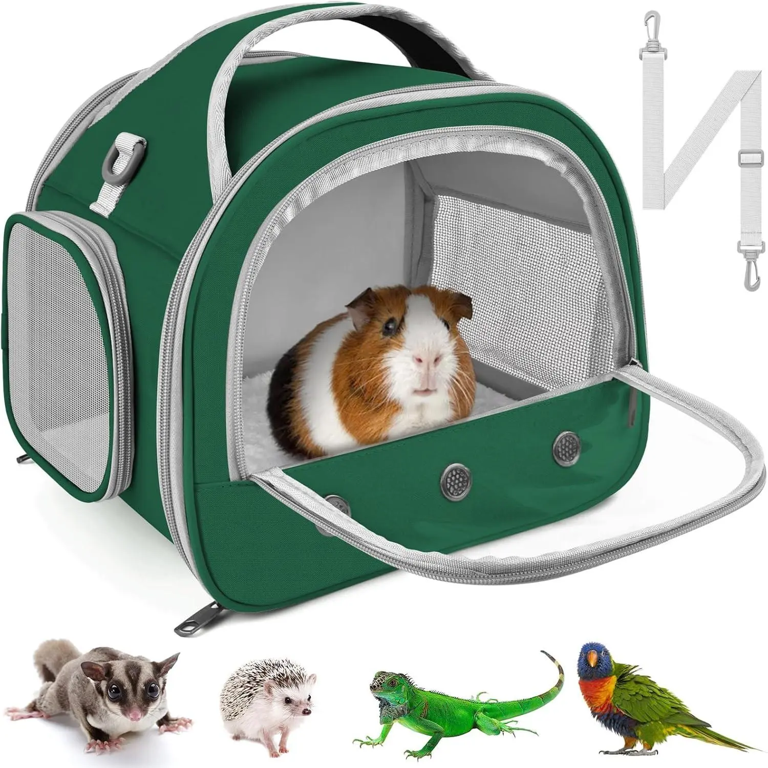 Bearded Dragon Travel Carrier, Portable Guinea Pig Carrier Bag Tortoise Carrier Pouch for Bunny Hamster Chinchilla Hedgehog Lizard Bird Outgoing Reptile Travel Carrying Case - Green