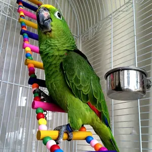 1pc Color random collocation 12 Ladders Wooden Bird Ladder - Ideal Parrot Training and Exercise Toy Small, medium and large parrot supplies climbing ladder ladder swing gnawing toy bird cage standing rack standing bar climbing ladder Bird Perches For Cage