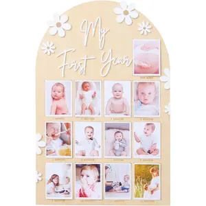 1st First Year Photo Board, 12 Month Picture Milestones Board, My First Year Board, Daisy Birthday Decorations
