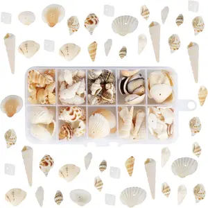 150PCS Shells decoration, Mixed shells, conch, shells for crafting with hole for beach theme parties, wedding decorations, DIY shell necklace, candle making, aquarium, vase filler